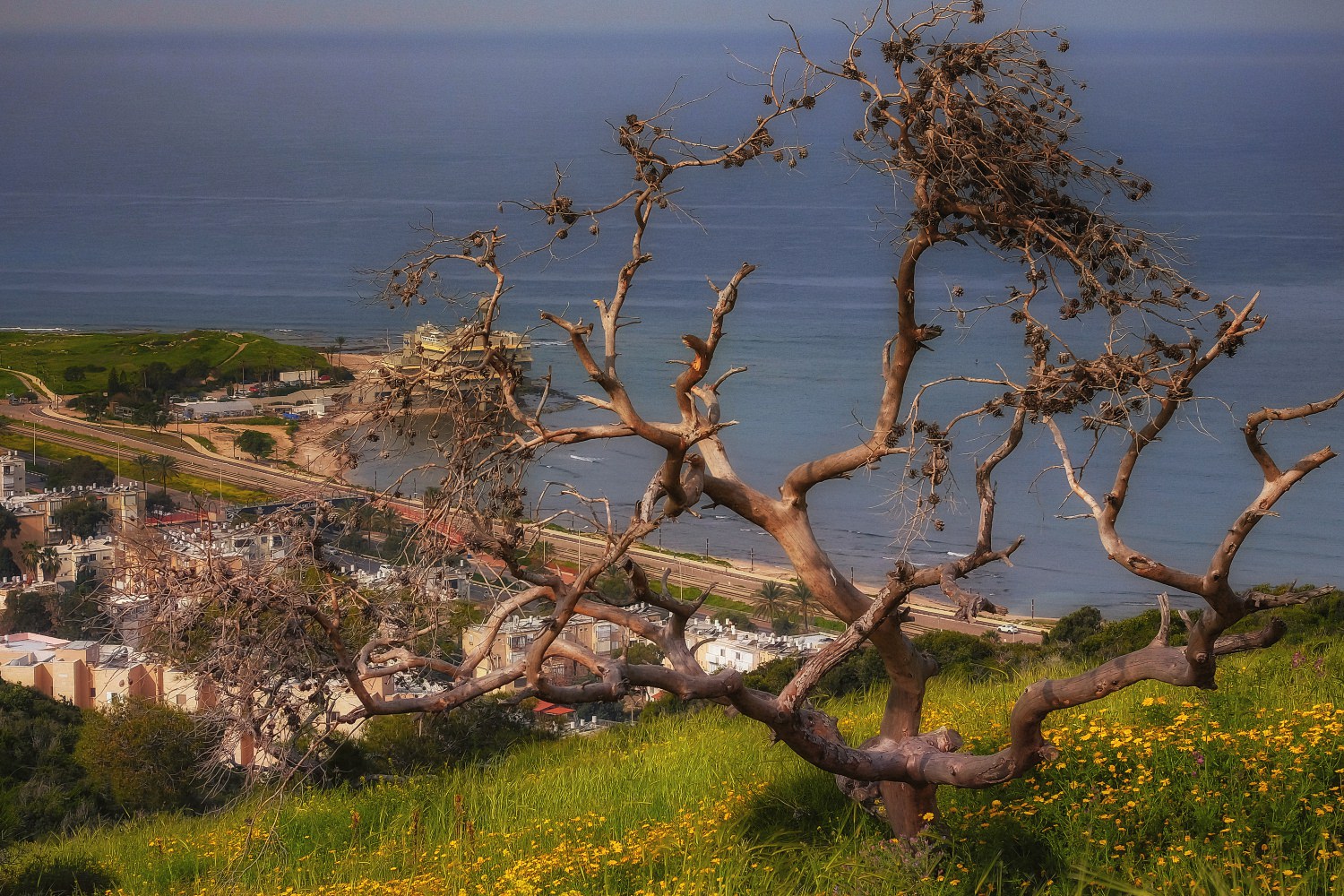 photo "***" tags: landscape, 