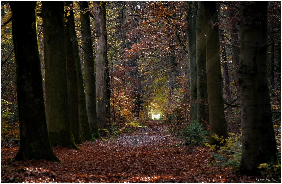 photo "***" tags: landscape, nature, 