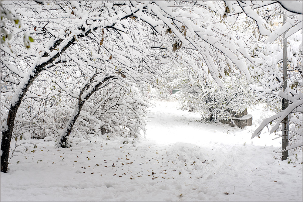 фото "Snowy tale...1" метки: природа, пейзаж, 