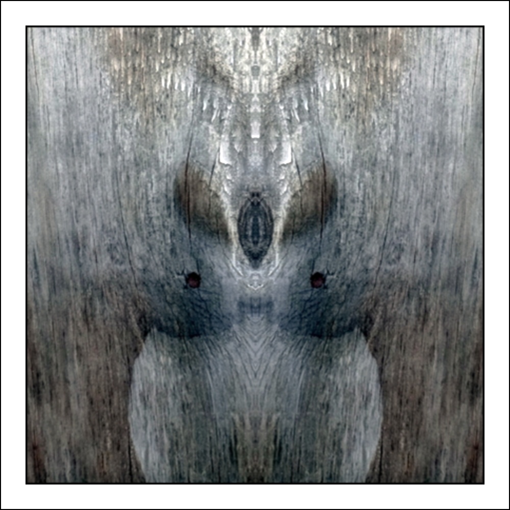 photo "little night-owl" tags: digital art, abstract, macro and close-up, closeup, mirror, mono