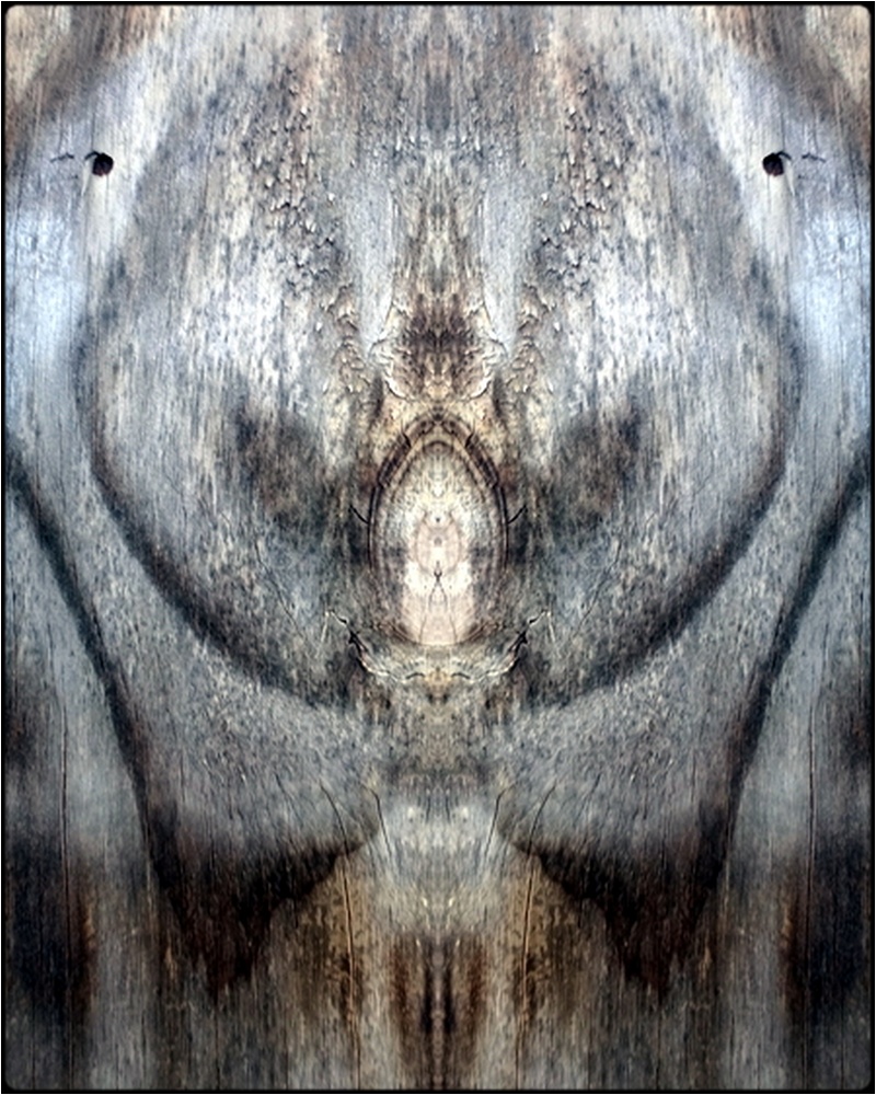 photo "azrael" tags: digital art, abstract, macro and close-up, close-up, mirror, tree