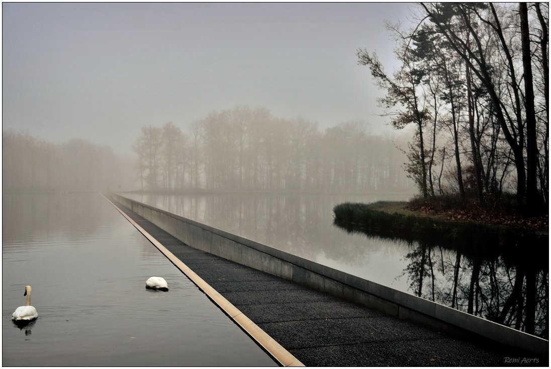 photo "Cycling through Water in Bokrijk" tags: landscape, nature, street, 