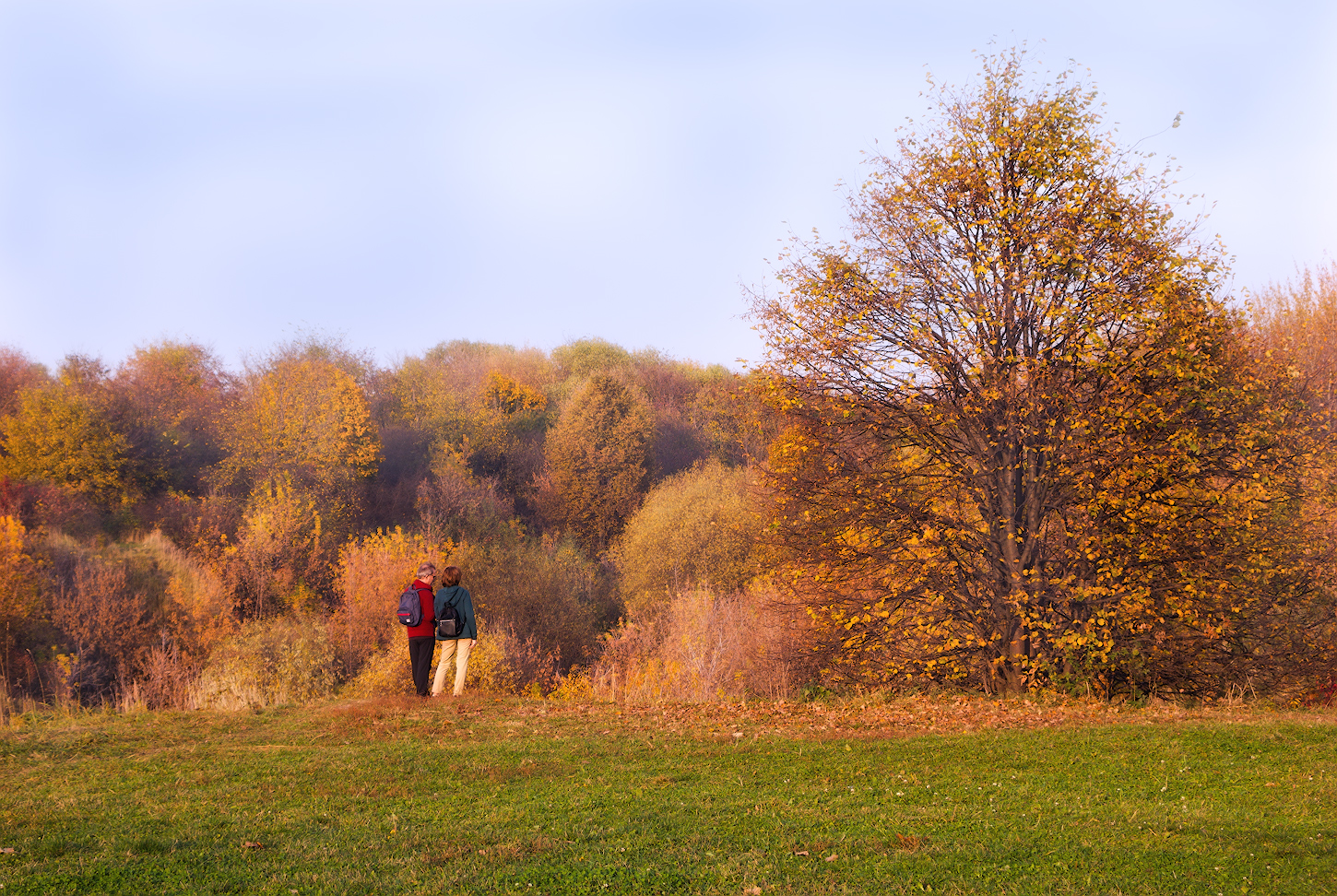 photo "***" tags: nature, 