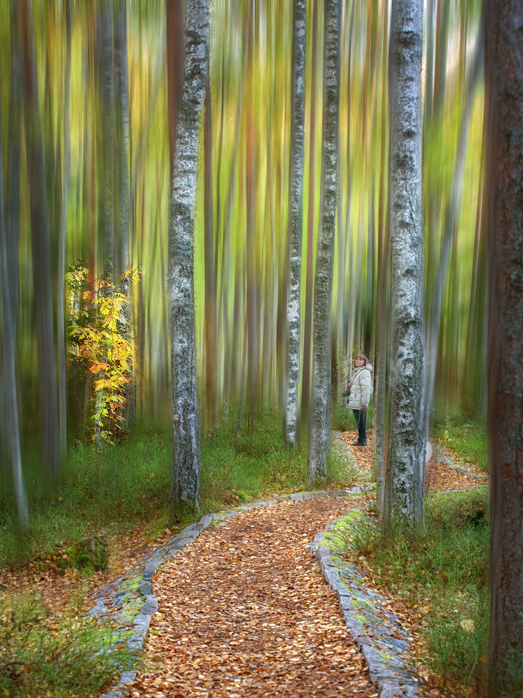 фото "Осенними дорожками..." метки: пейзаж, 