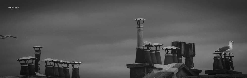 photo "roofs" tags: black&white, 