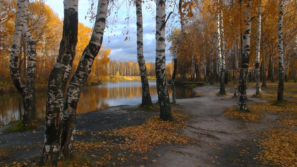 фото "Тихая грусть" метки: пейзаж, природа, 