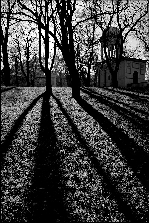 photo "Деревья и тени" tags: black&white, Prag, Prague, Praha