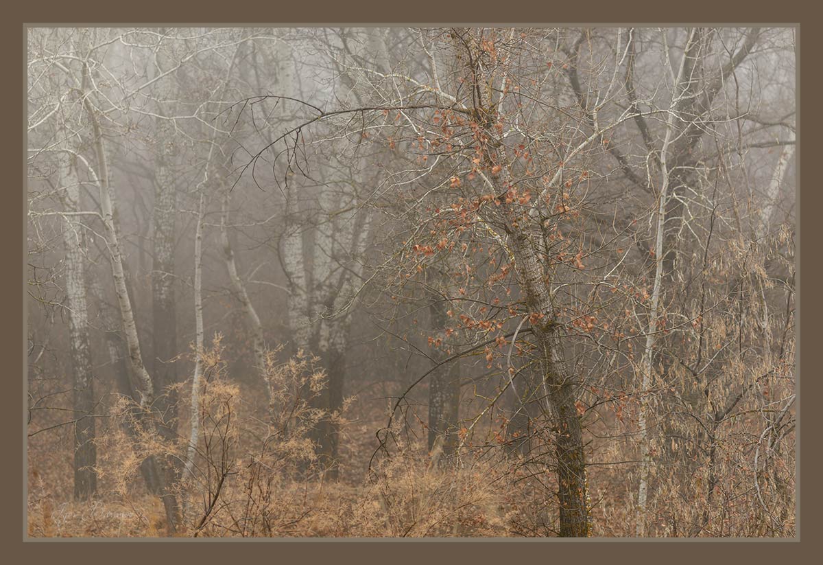 фото "***" метки: пейзаж, 