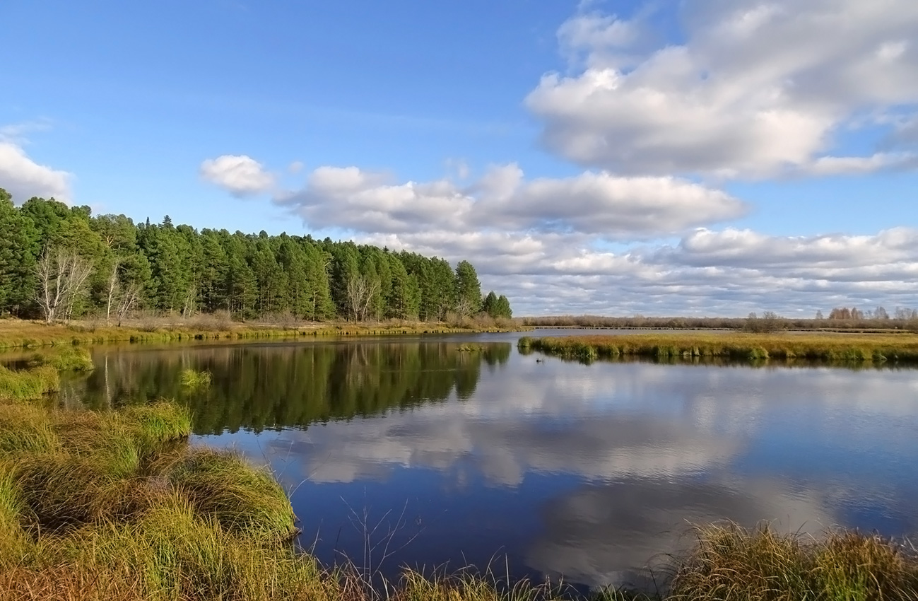 фото "Озеро" метки: пейзаж, Томская область, озеро