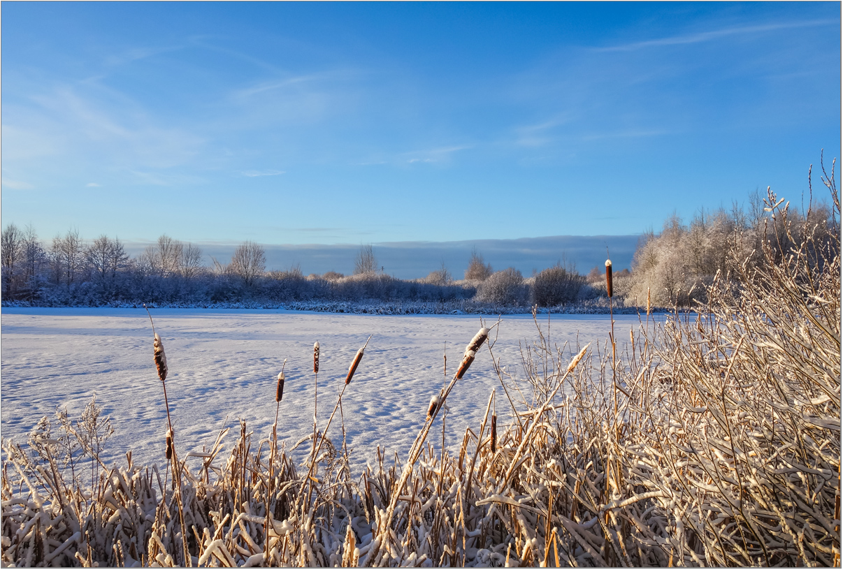 photo "The first of January of the outgoing year." tags: landscape, snow, winter, январь