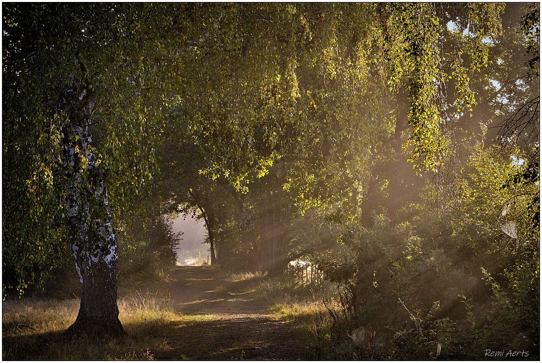 photo "***" tags: landscape, nature, 