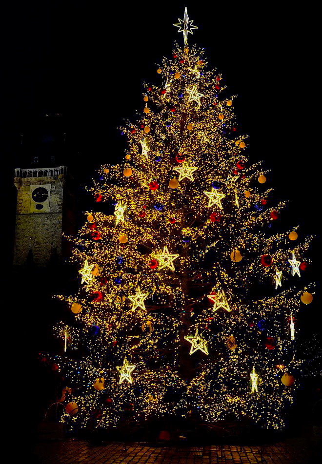 photo "Башня и новогодняя елка" tags: city, Prag, Prague, Praha