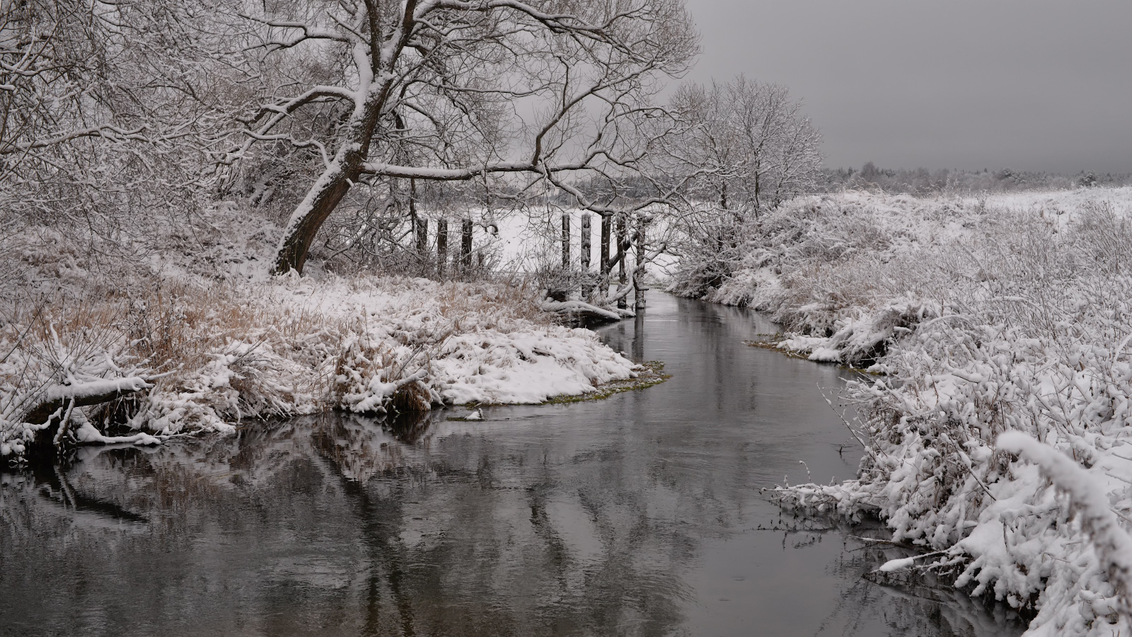 photo "***" tags: landscape, nature, 