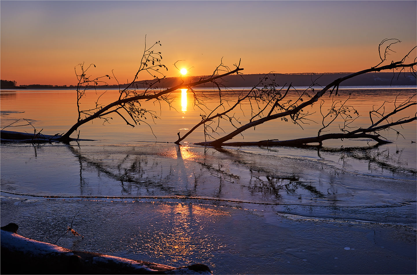 фото "лед , закат и коряги" метки: пейзаж, 