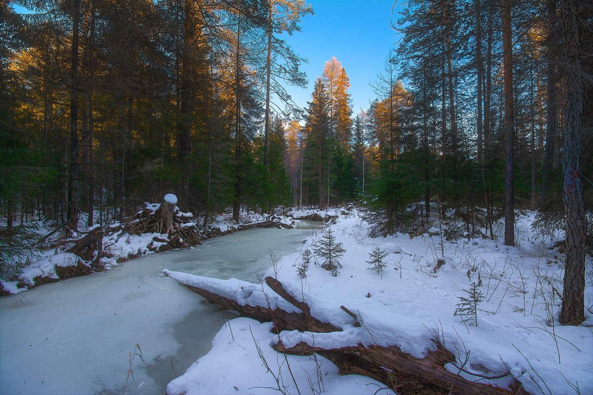 фото "Зимний пейзаж" метки: пейзаж, 