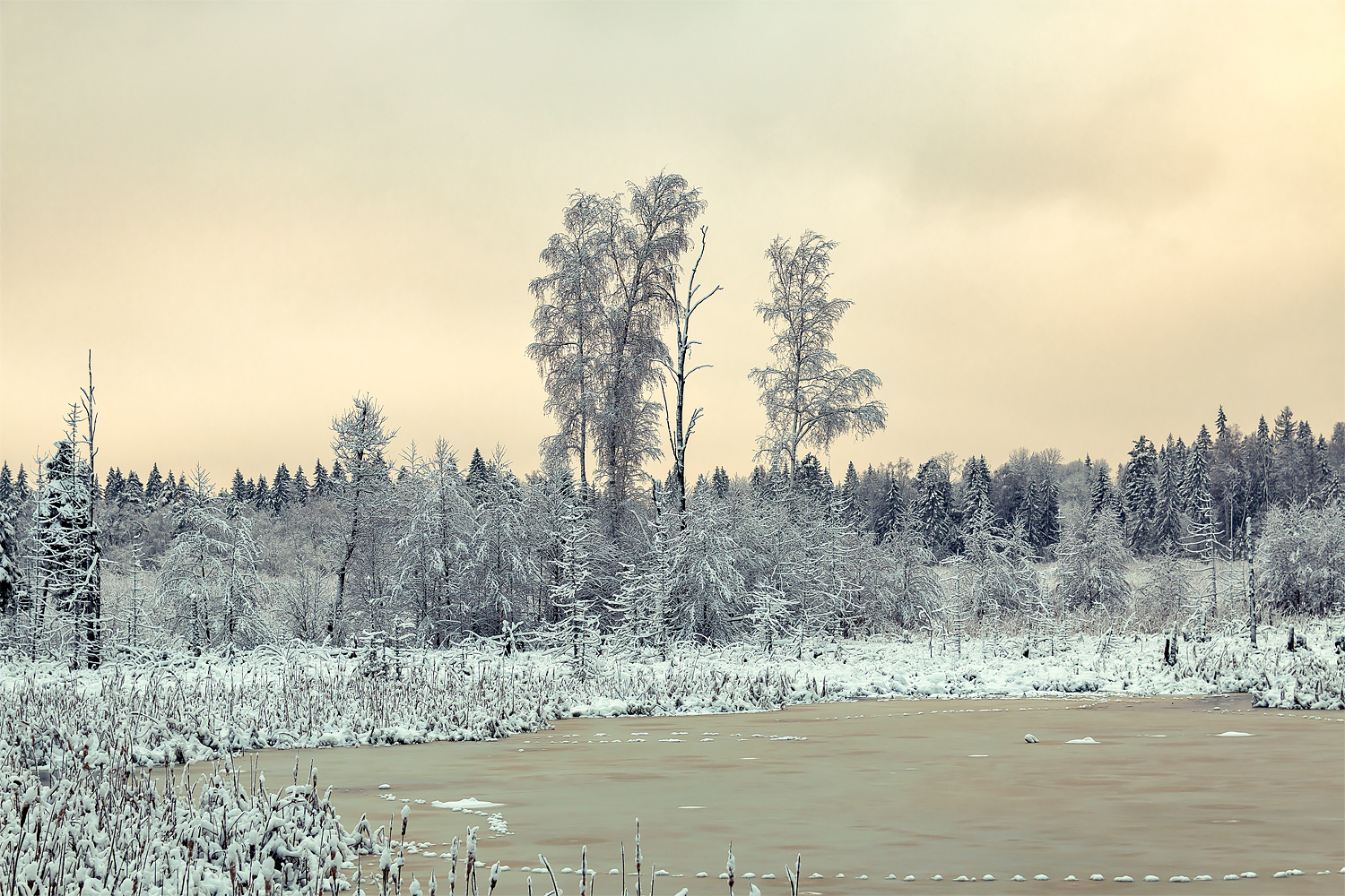 фото "***" метки: пейзаж, 