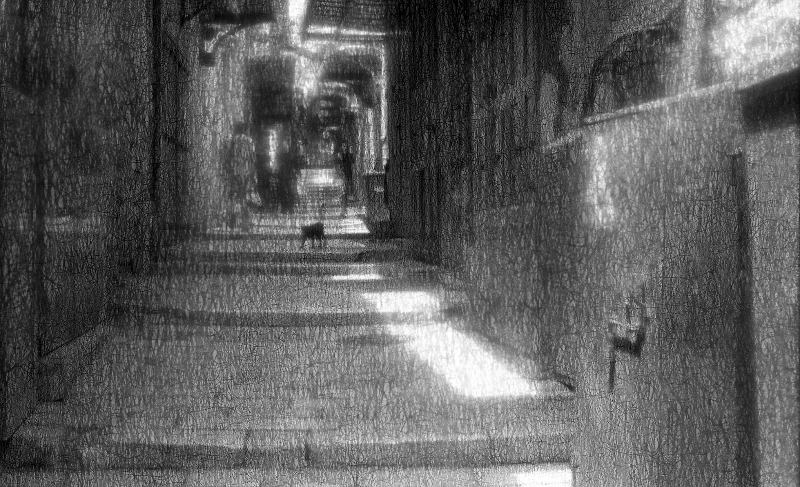 photo "***" tags: street, black&white, 