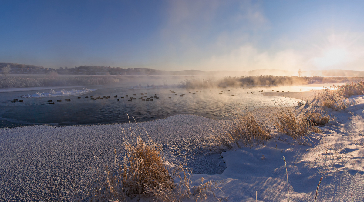 photo "***" tags: landscape, 
