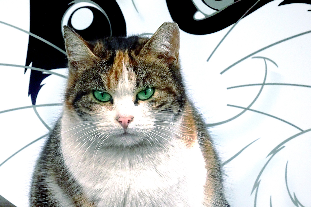 photo "portret" tags: portrait, reporting, 