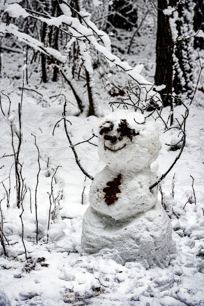 photo "Snowman" tags: misc., 