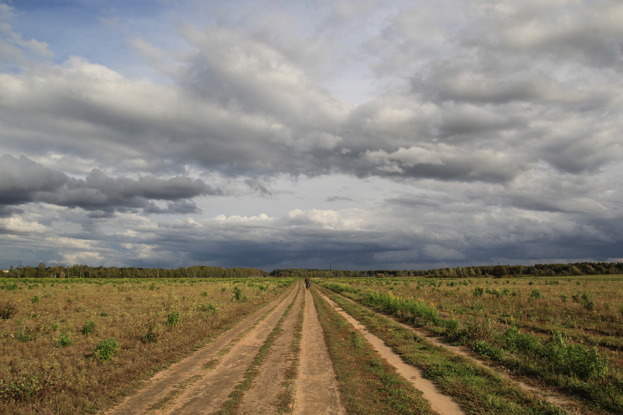 photo "September roads" tags: landscape, field, road, september