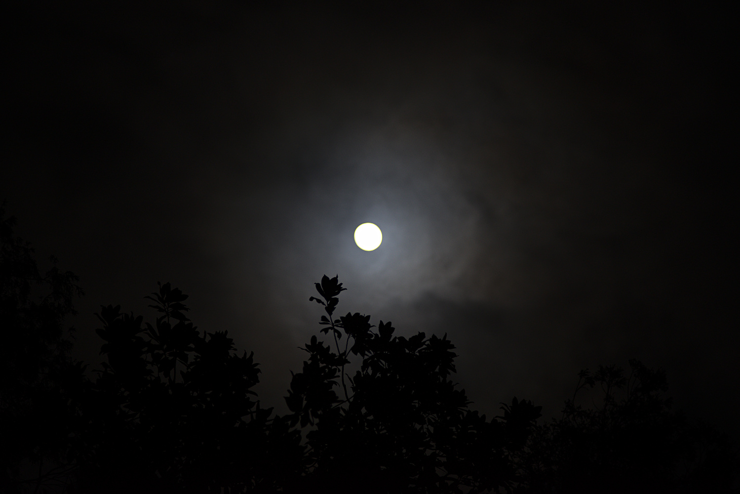 фото "Winter moon" метки: пейзаж, Луна