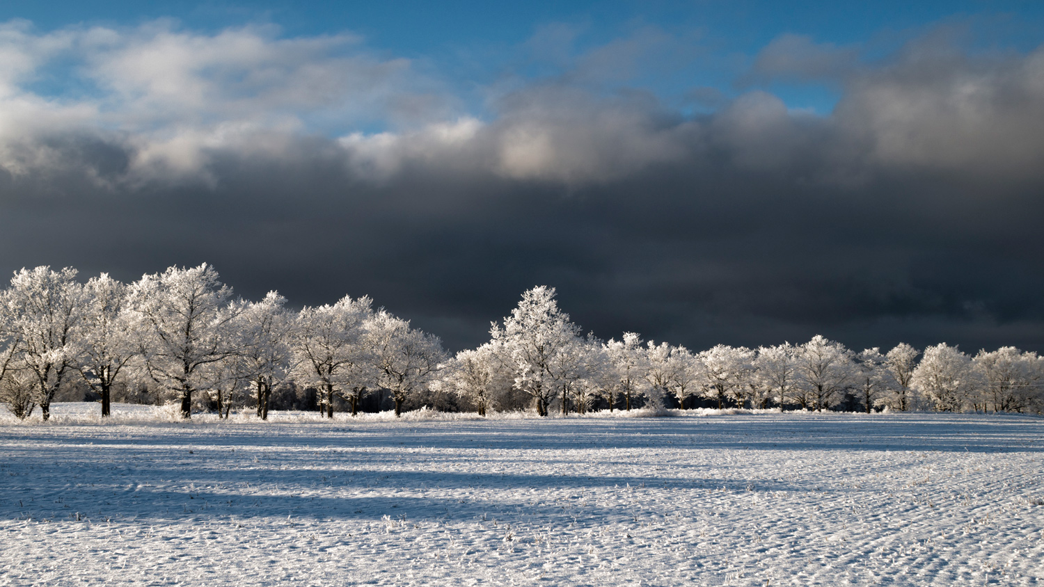 photo "***" tags: landscape, 