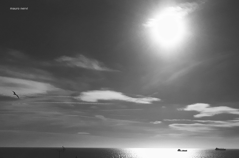 photo "horizon" tags: black&white, 