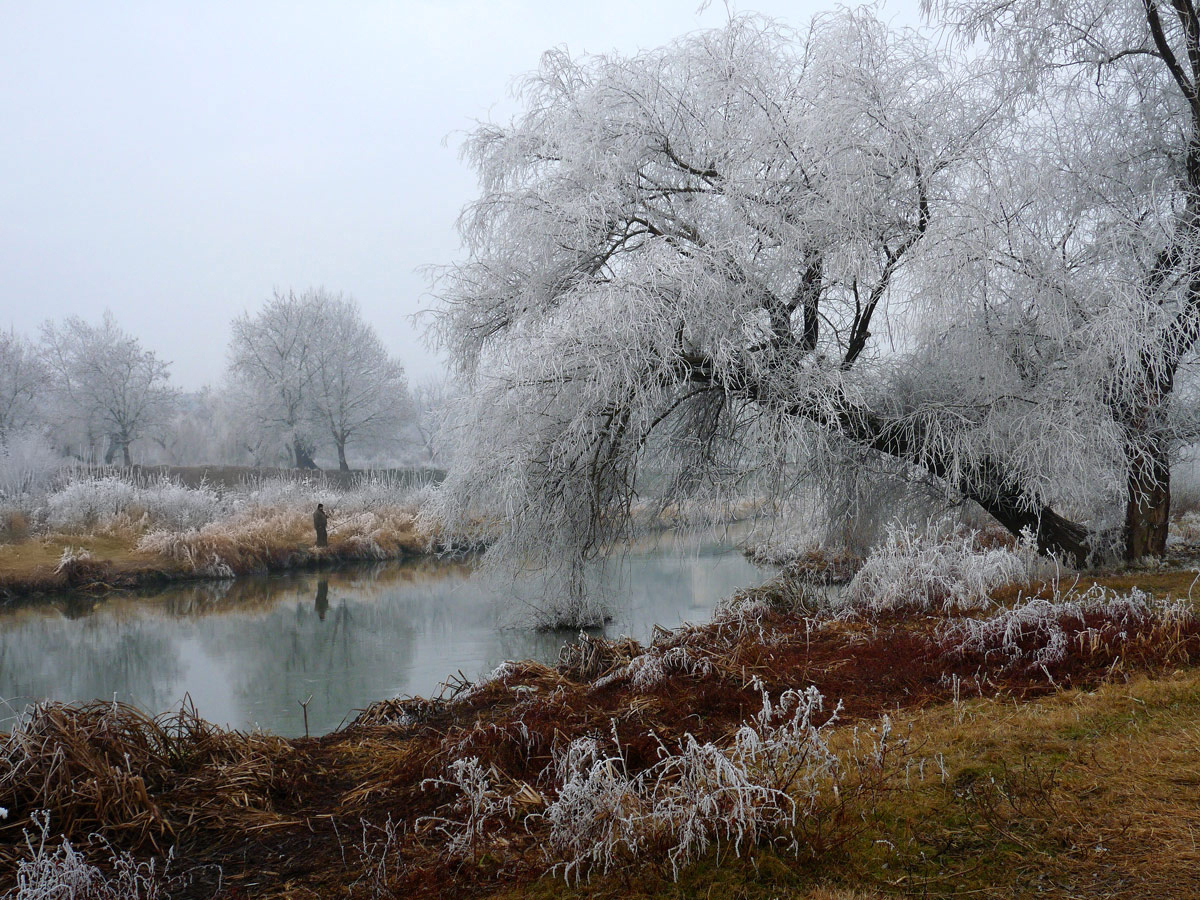 photo "***" tags: landscape, winter