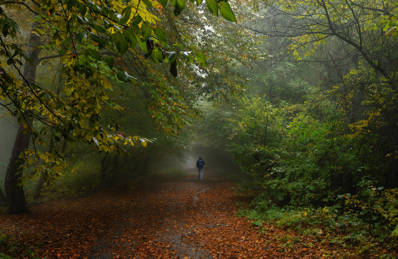 photo "***" tags: landscape, autumn, Кабардино-Балкария, пригород г. Нальчика