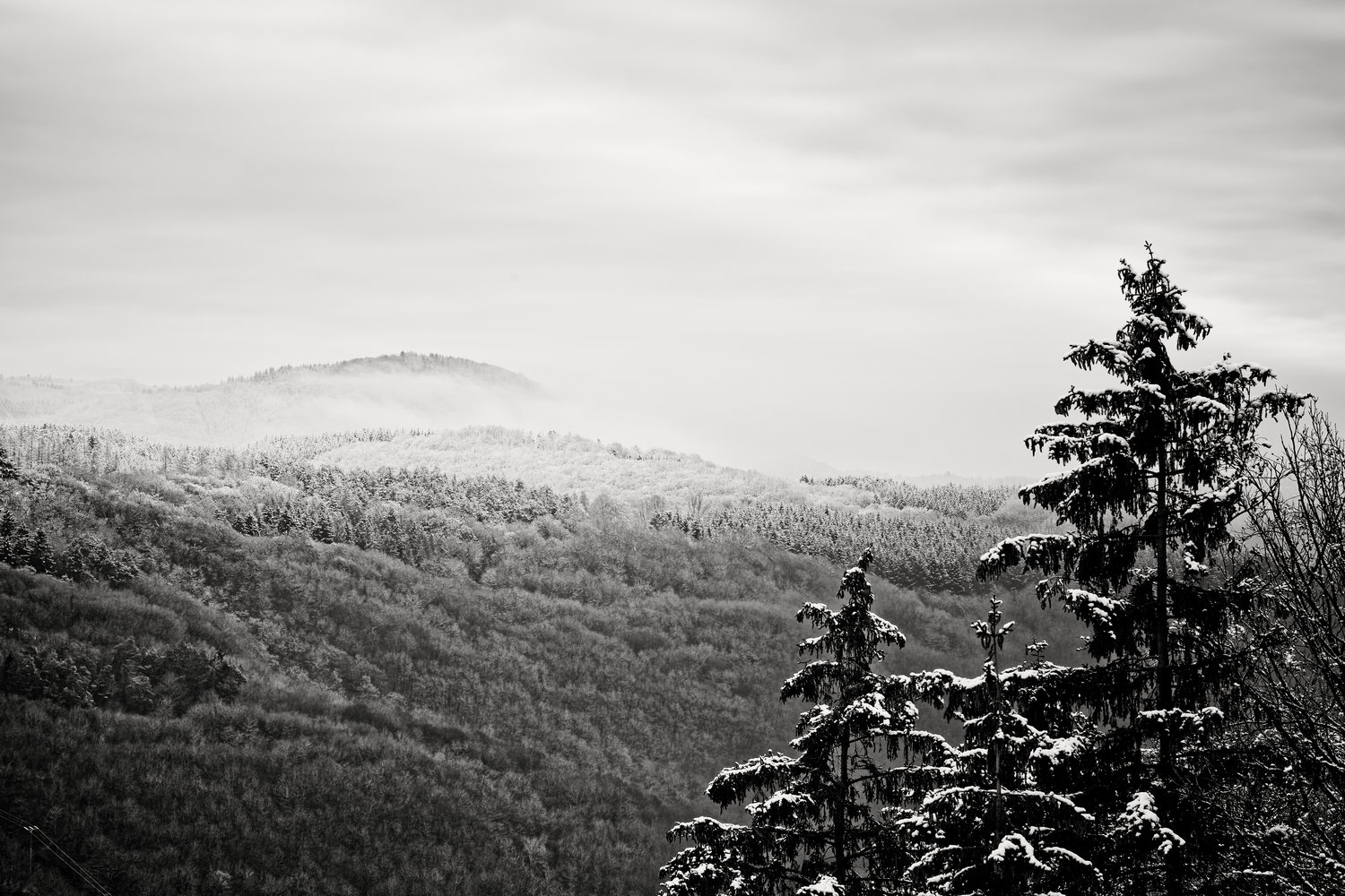 photo "***" tags: landscape, black&white, Europe