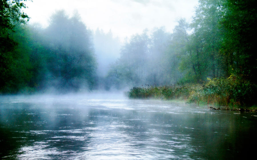 фото "Знаю.Плавал." метки: пейзаж, путешествия, природа, Европа, Литва, веринайс, вода, лес, налим225, осень, оченькрасиво, почтиШедевр, река, суперверинайс, туман, шедевр