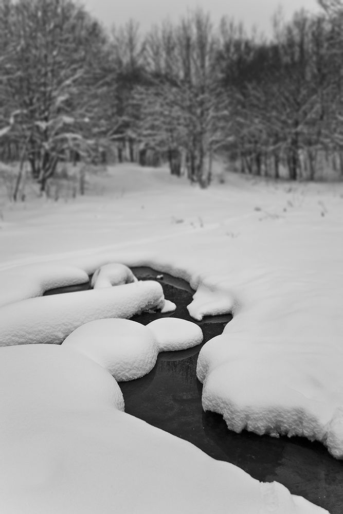 фото "Вечерело..." метки: природа, черно-белые, 