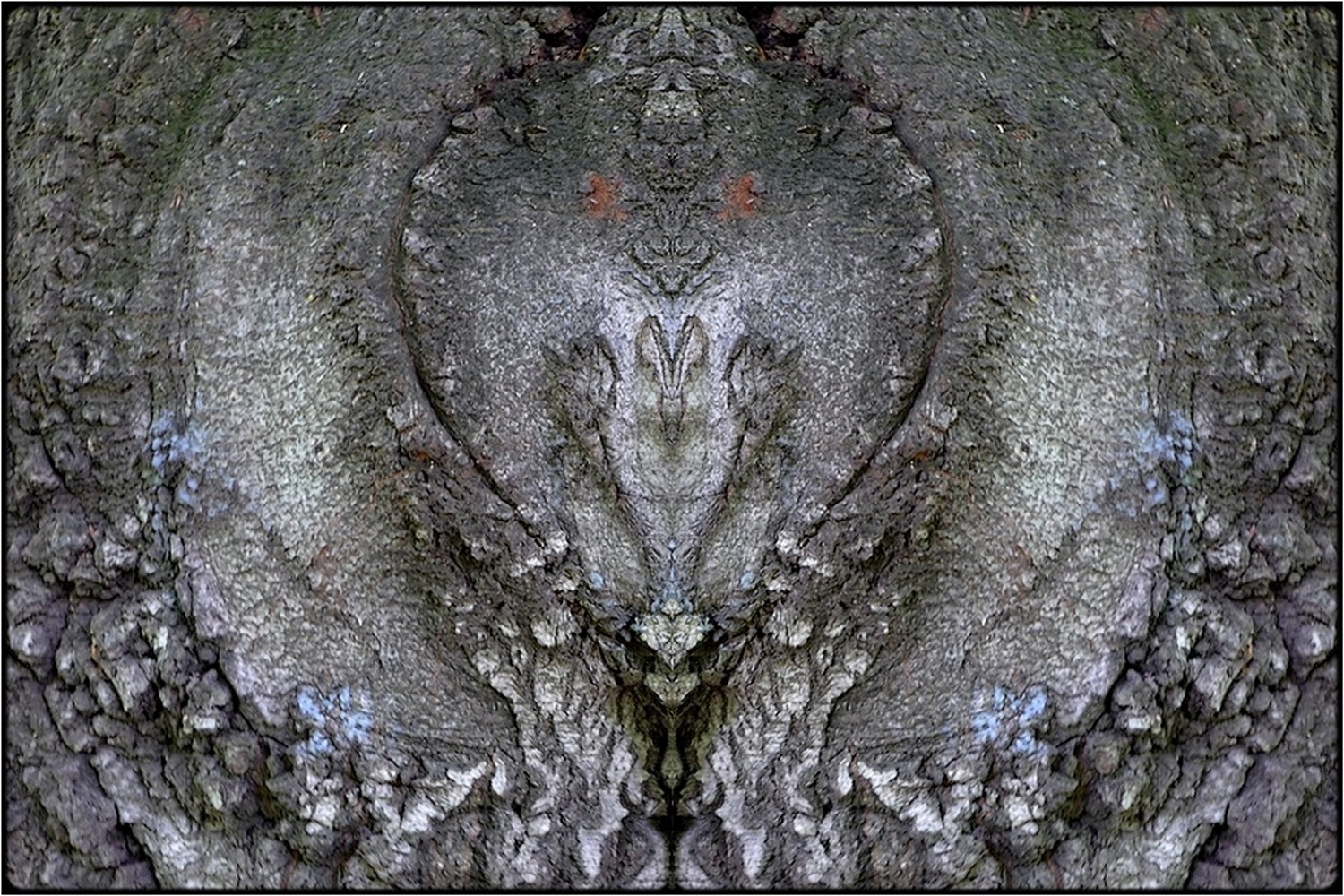 photo "the winged head" tags: digital art, macro and close-up, nature, bark, closeup, mirror, tree