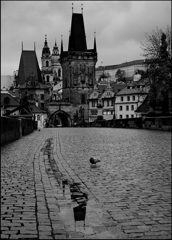 photo "На мосту" tags: black&white, Prag, Prague, Praha