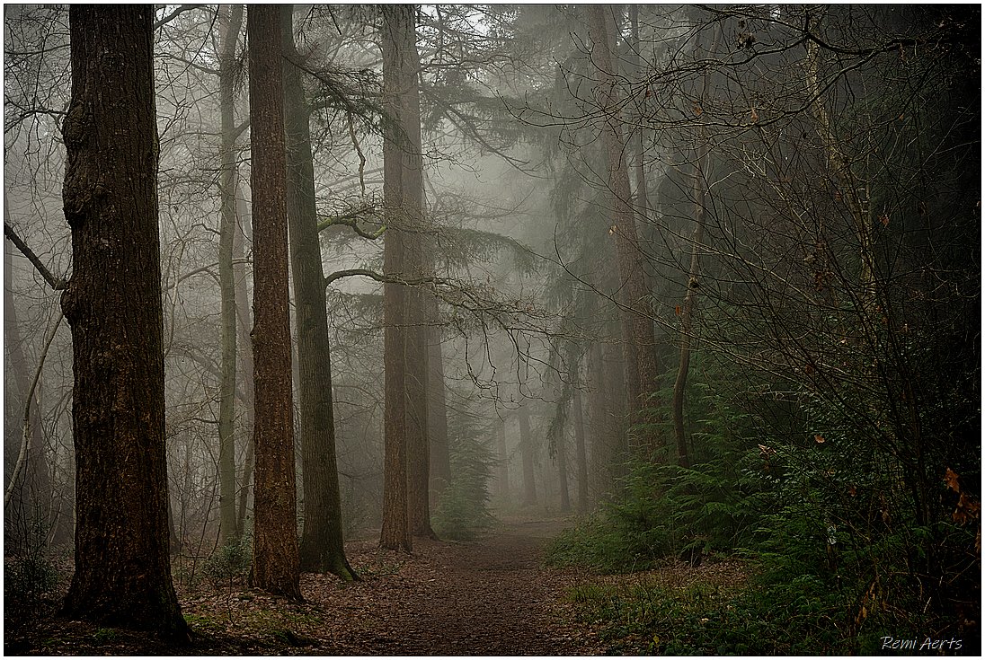 photo "***" tags: landscape, nature, 