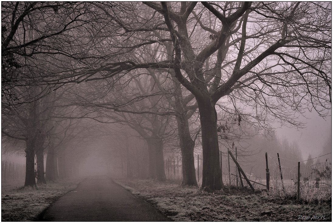 photo "***" tags: landscape, nature, 