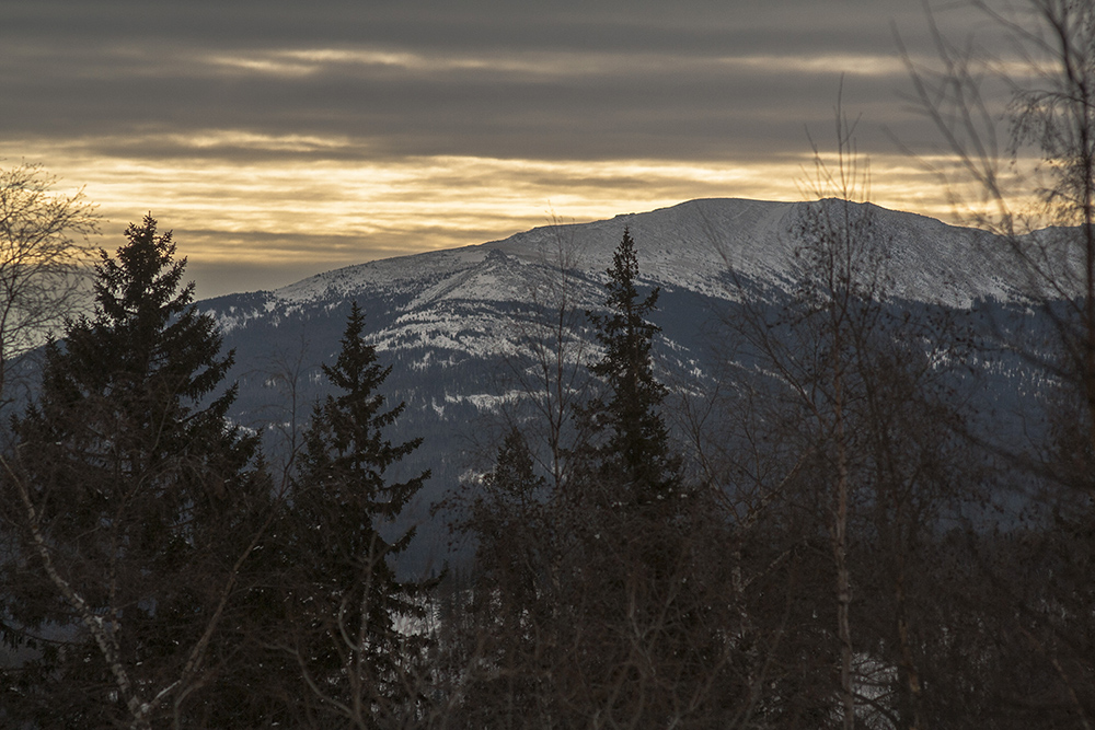 photo "***" tags: , 