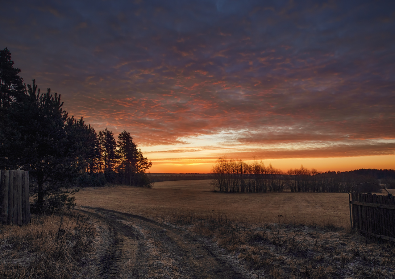 photo "***" tags: landscape, morning, spring, Ленинградская область