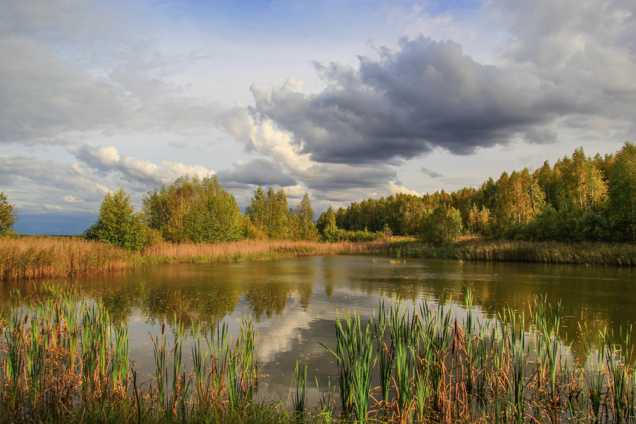 photo "In September" tags: landscape, 