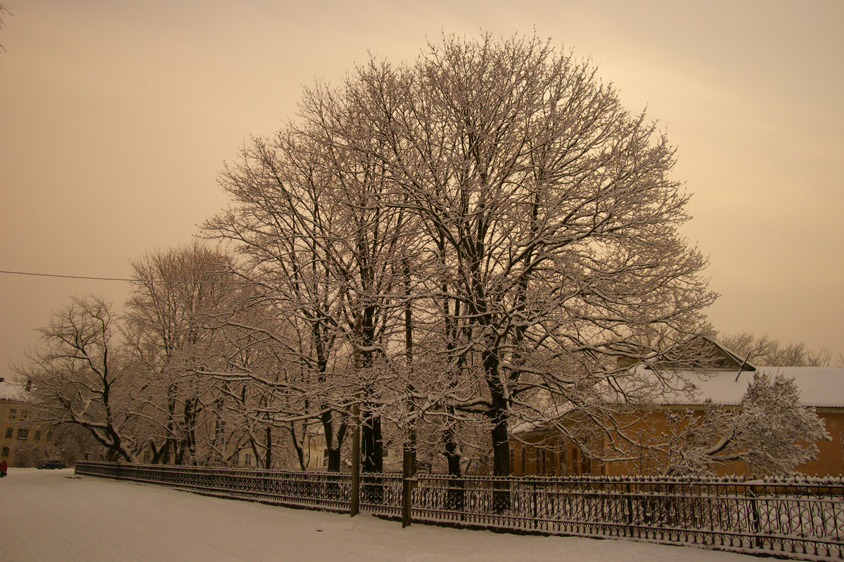 photo "***" tags: landscape, winter