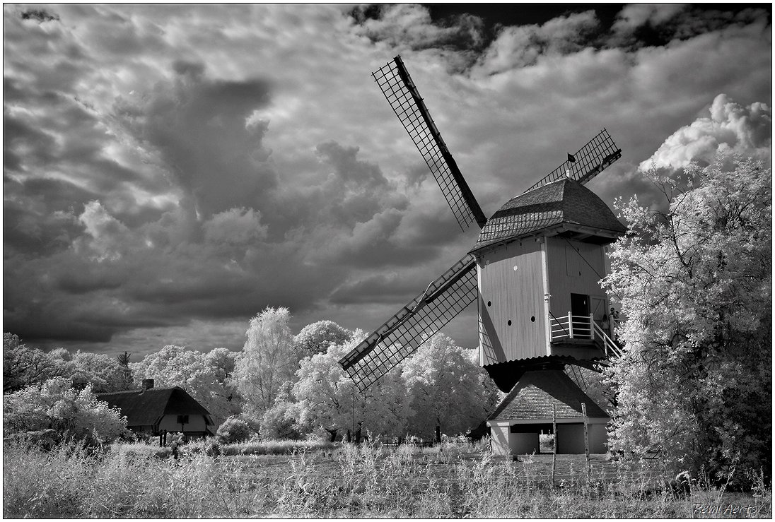 photo "IR photo Bokrijk" tags: landscape, architecture, 