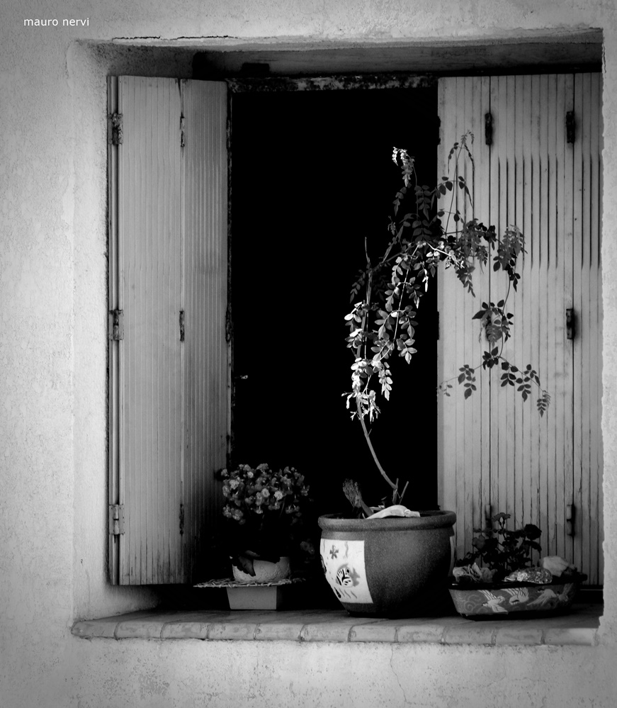 фото "the window" метки: черно-белые, 