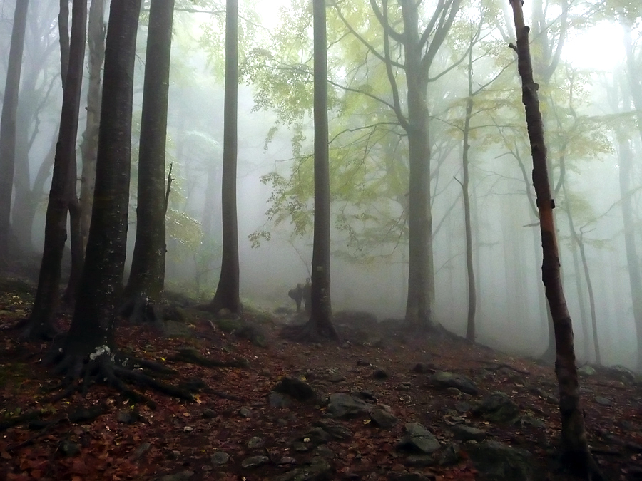 photo "***" tags: landscape, fog