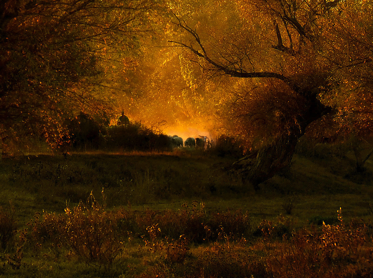 photo "***" tags: landscape, 