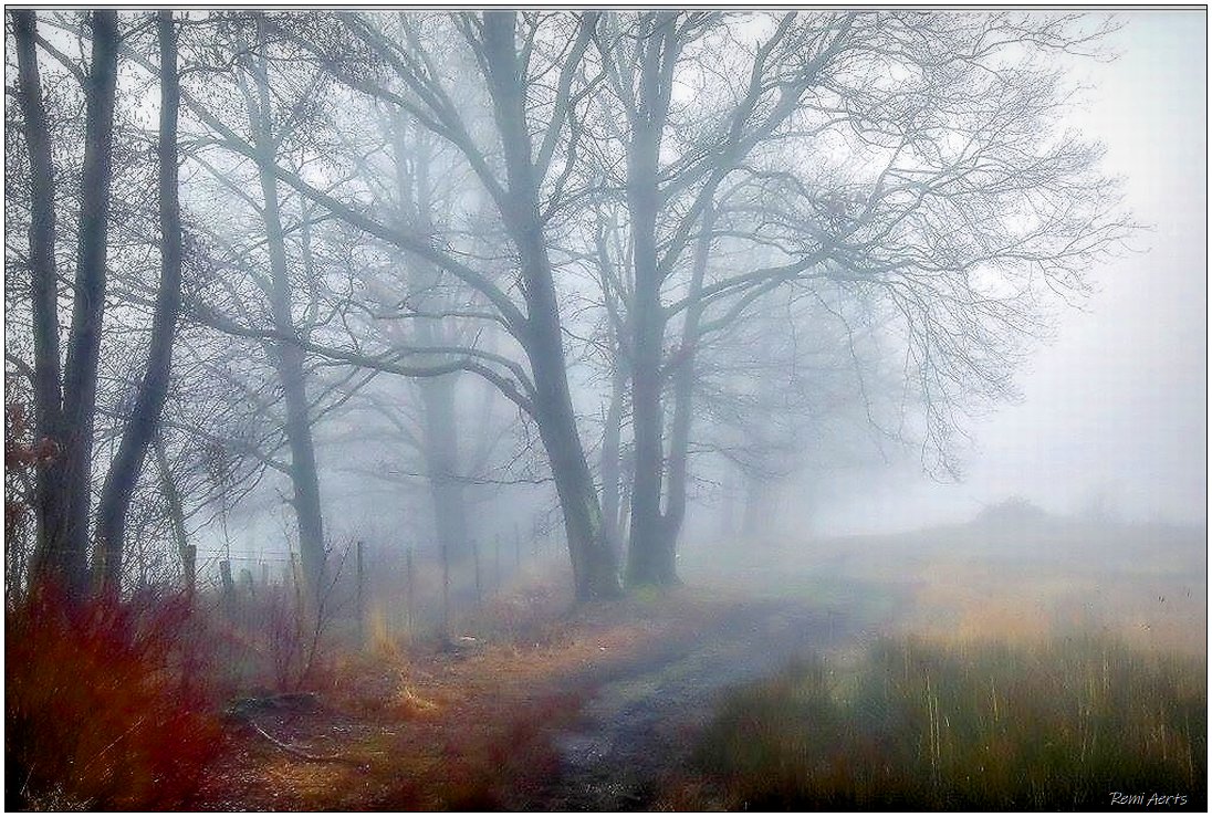 фото "***" метки: пейзаж, природа, 