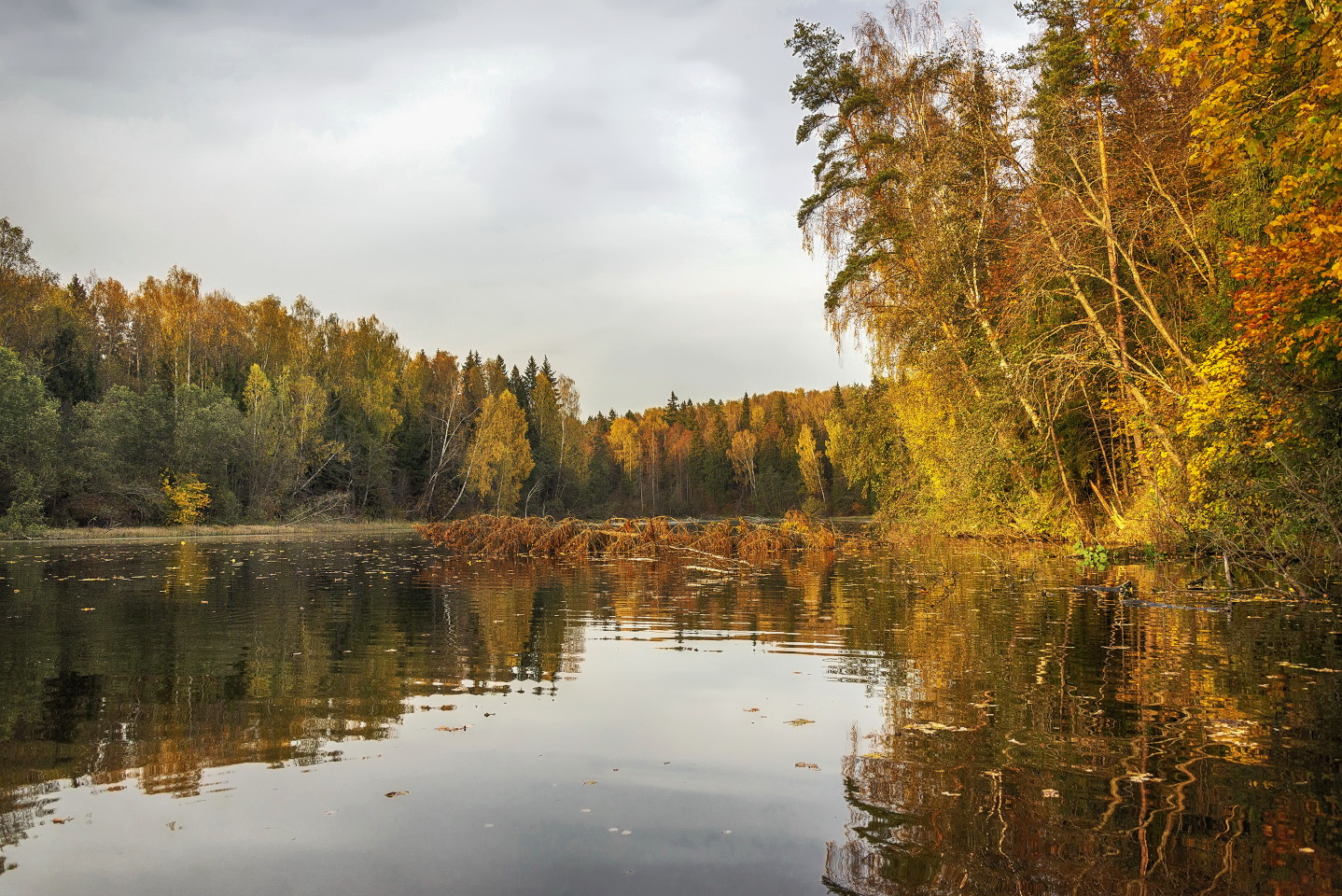 photo "***" tags: landscape, 