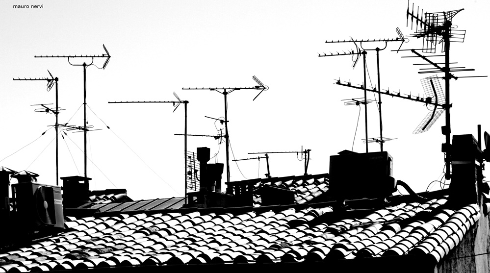 photo "roofs" tags: black&white, 