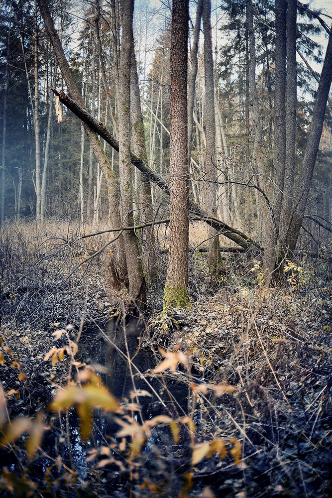 photo "***" tags: , 
