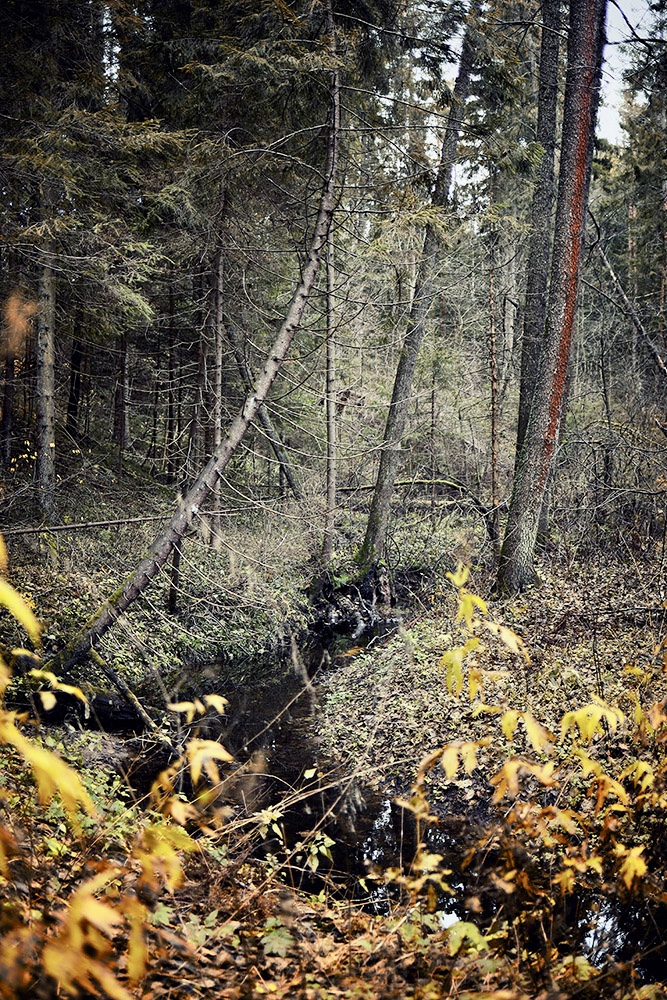 photo "***" tags: , 